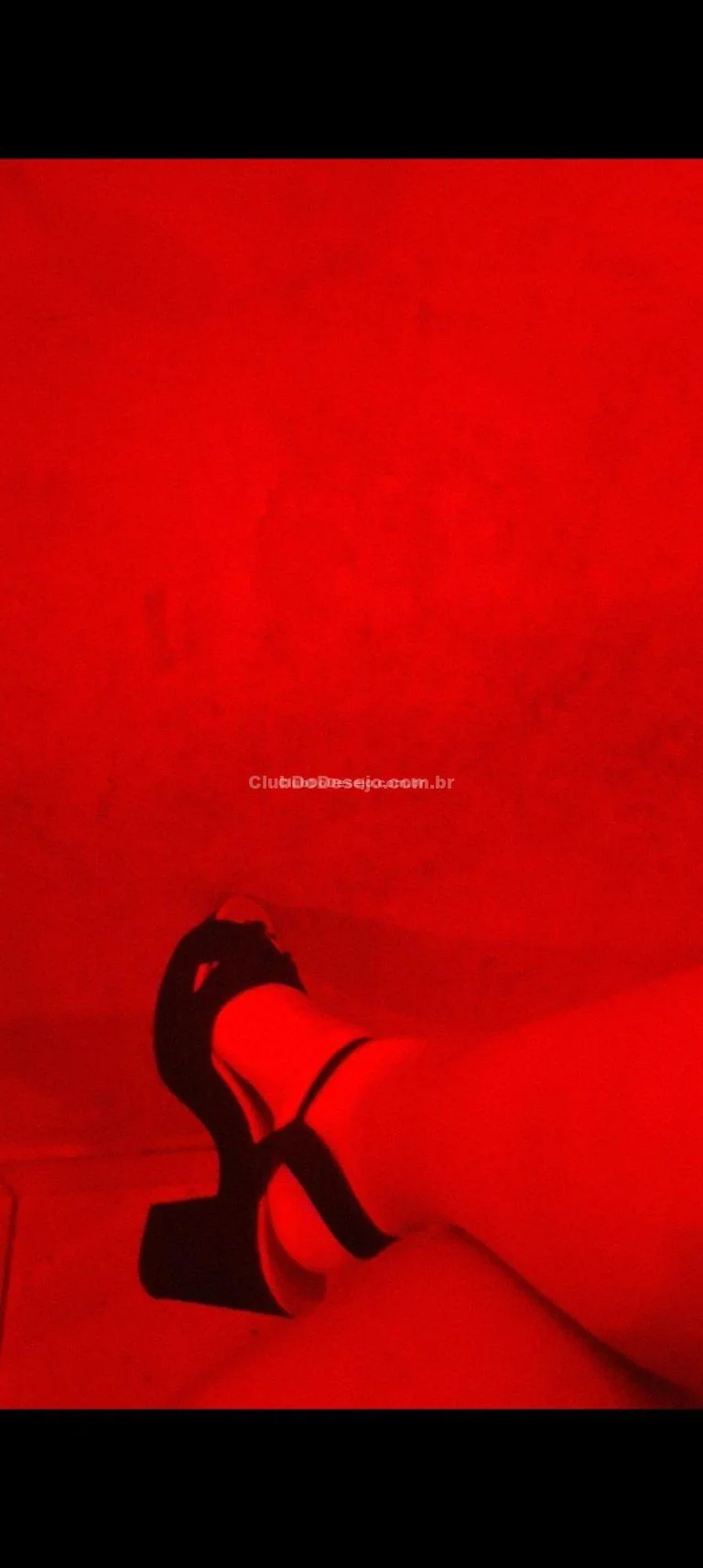 Capa 1
