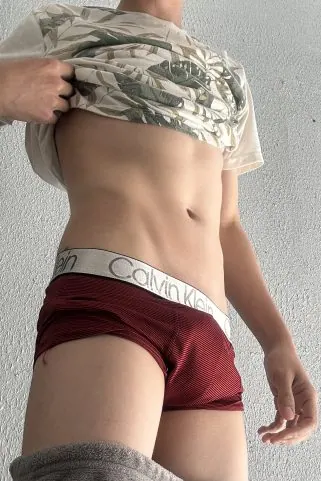 Gato malhado