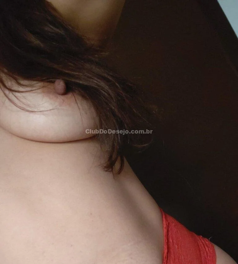 Capa 1